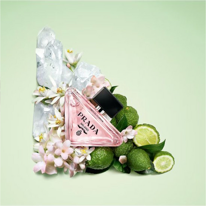 Prada paradox